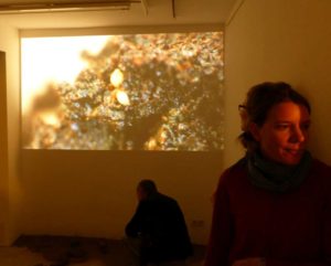 Screening. C T.A. Soil from which we live