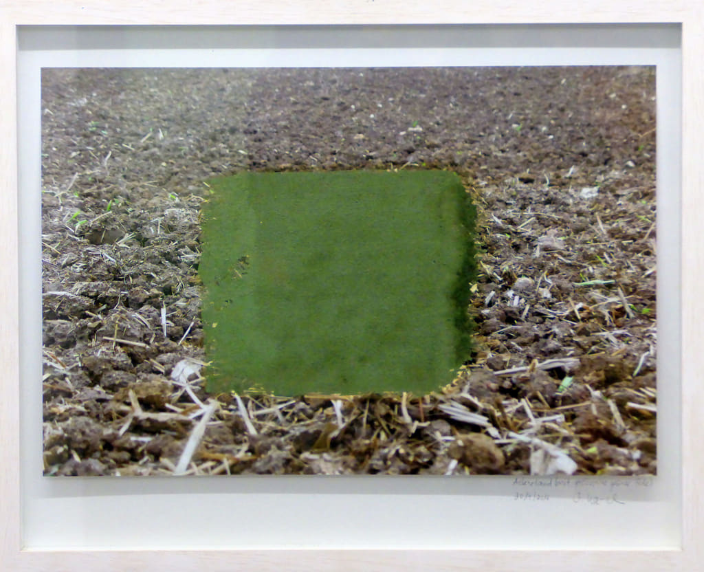Barbara Karsch-Chaïeb: Arable land. 2014, Stuttgart, Germany, 30 x 45 cm, photograph, Veronese green earth. Ackerland shows a photograph of a field on the Swabian Alb in southern Germany, on it an order with Veronese green earth (from Italy). The basis of life for the cultivation of food is the soil, which is no longer treated with care. (Land) ownership plays just as important a role as competition among farmers. Small farms often go out of business because they cannot or do not want to compete with large landholdings. Global changes (and EU directives) often shift land ownership and use in ways that are unfavorable to people.